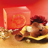 Potatochip Chocolate/Potechi Crunch