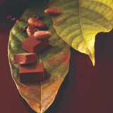 Nama Chocolate Ecuador Sweet - ROYCE' Chocolate Malaysia